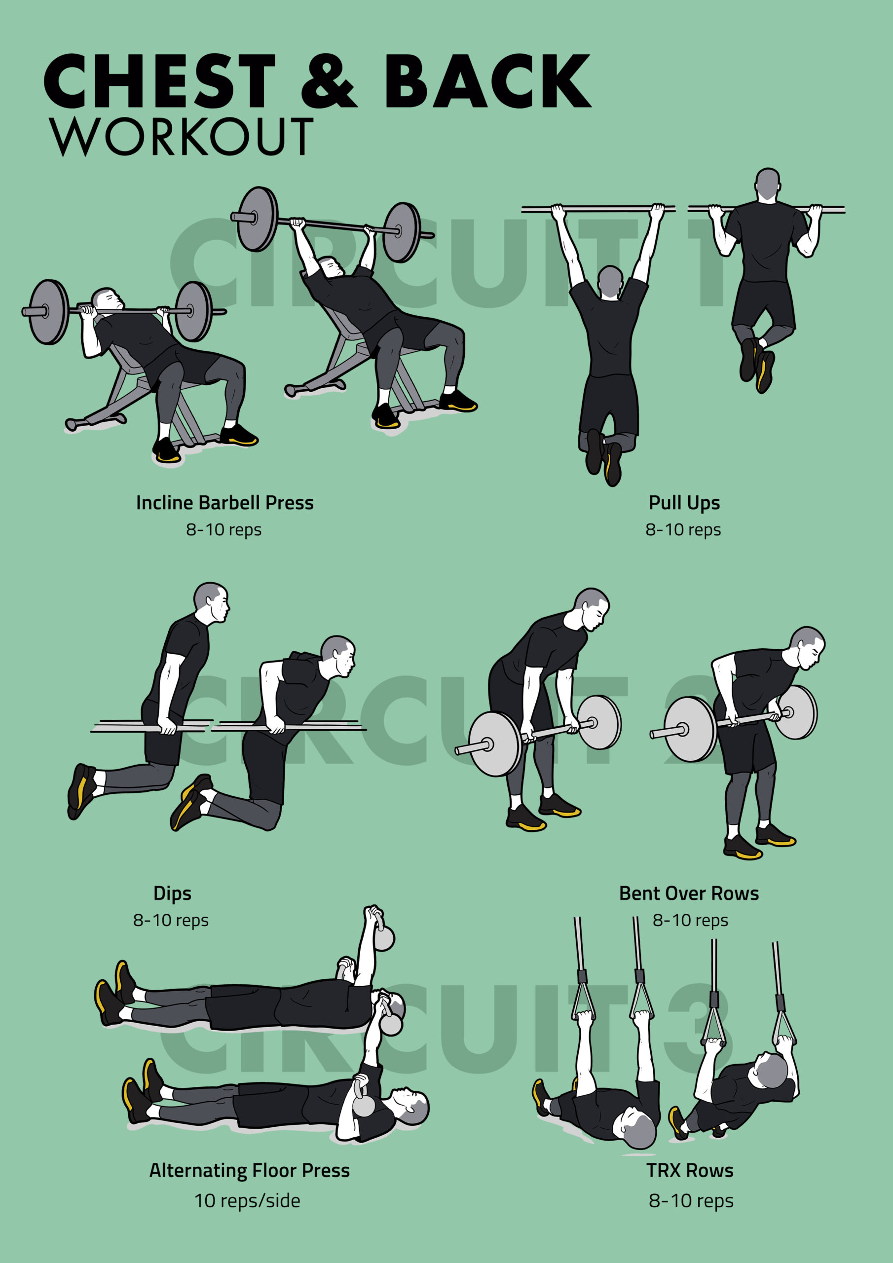 chest and back workout
